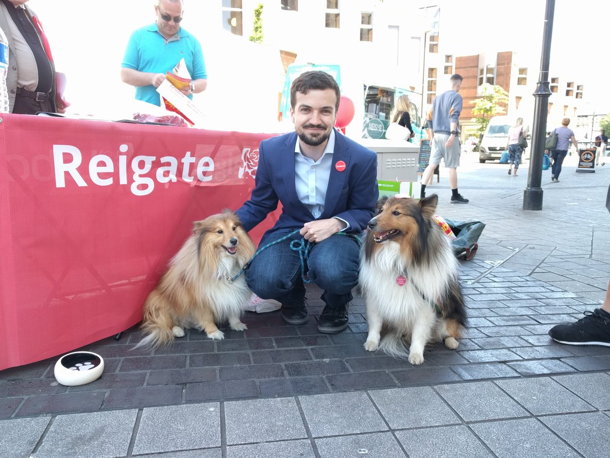 TobyBrampton's tweet image. Out with our star campaigners Benny &amp;amp; Sparky in Redhill today! #DogsForLabour #VoteLabour