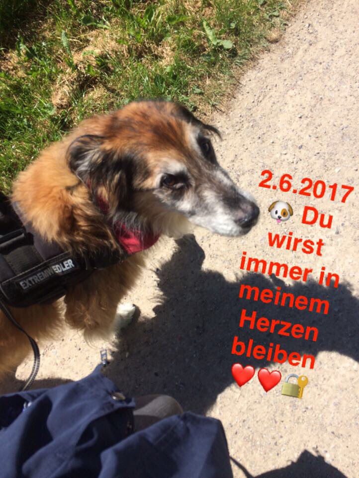 LenaP5560's tweet photo. You'll always be in my heart ❤️🔐 https://t.co/LpLkfJACQV