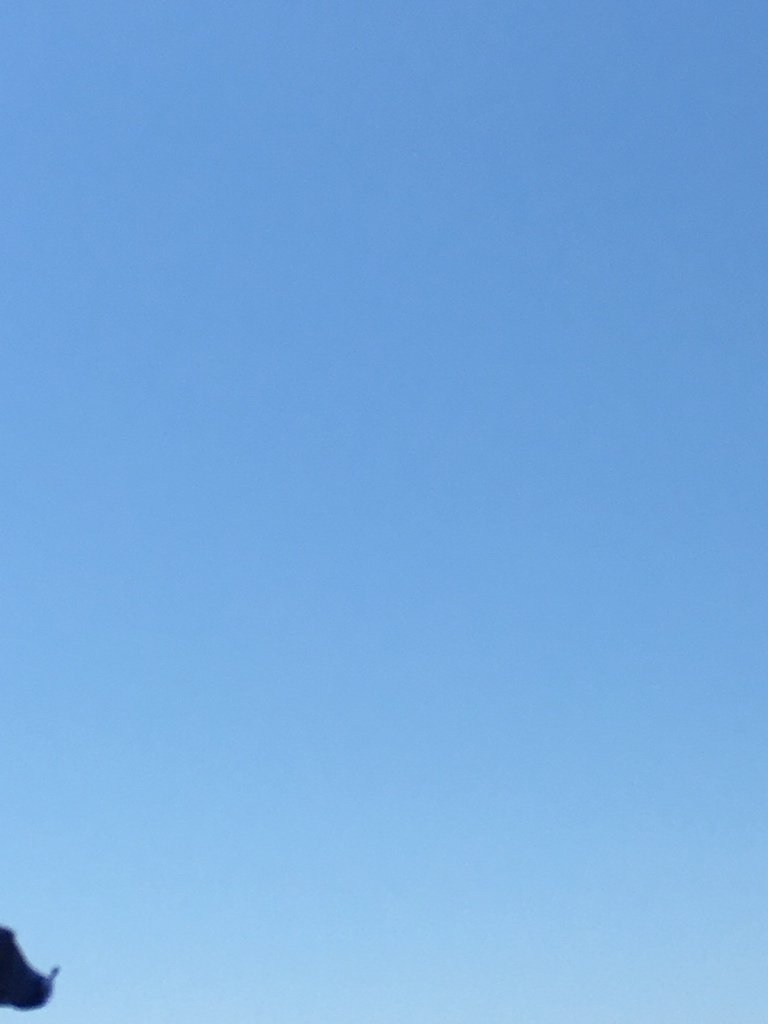 72kikko09's tweet photo. Ecco il vero cielo azzurro sopra di noi napoletani 💙 https://t.co/lmaKVw30gq