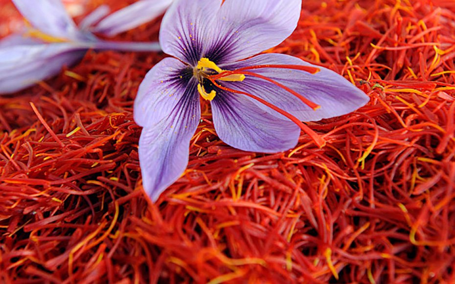 sortala's tweet image. Know the differences and what to look for when choosing the best saffron sortala.com/blogs/news/kno… #saffron #Food #Foodie #Foodies