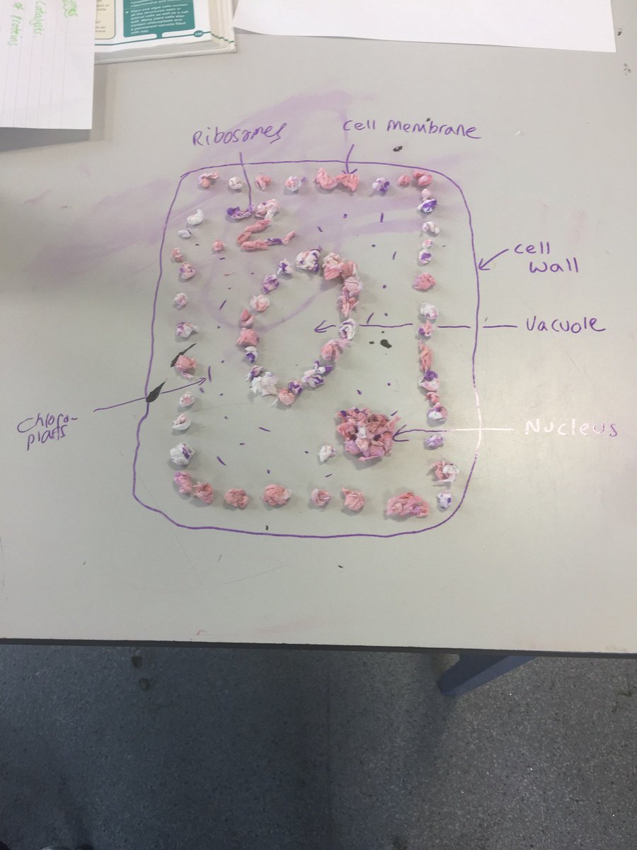 NCscience tweet media