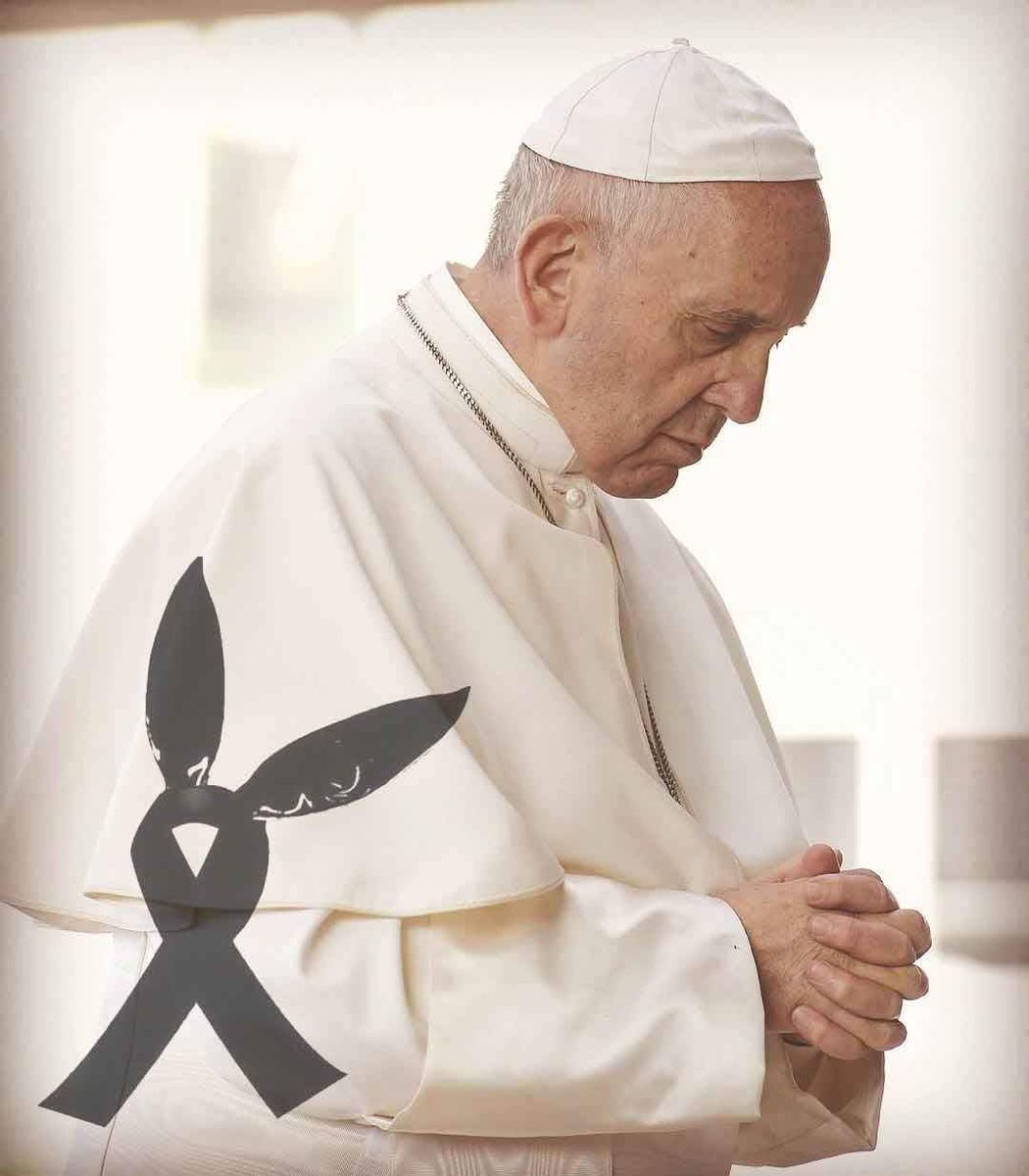 김종봉 tweet media