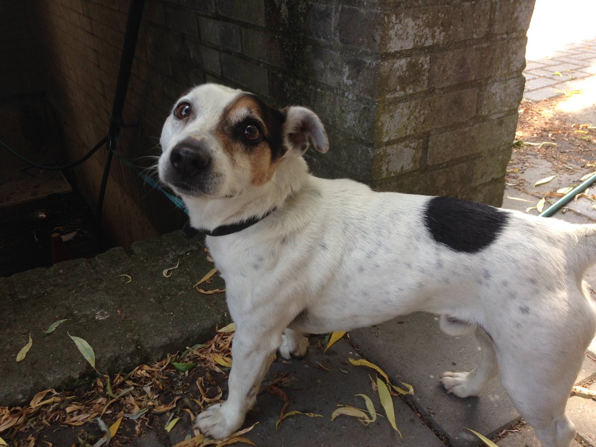 Gevonden ! Bij Voetbalvereniging Concordia, Delft