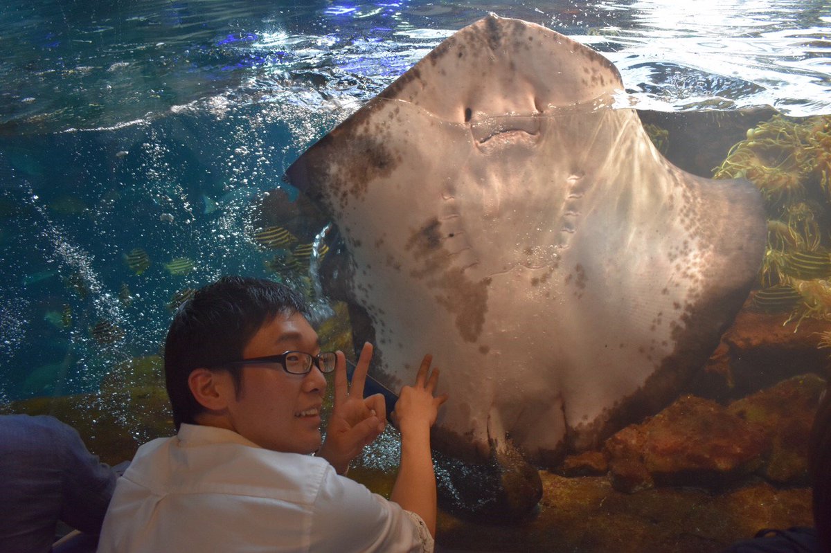 mrpicken2's tweet photo. 今日は友人たちと江ノ島に行って来ました！！
とても楽しかったです！笑

写真は全て
彼氏と江ノ島なう。
に使ってもらって大丈夫です！ https://t.co/Ey0O1cf81w