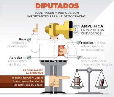 ¿Qué hace un Diputado?