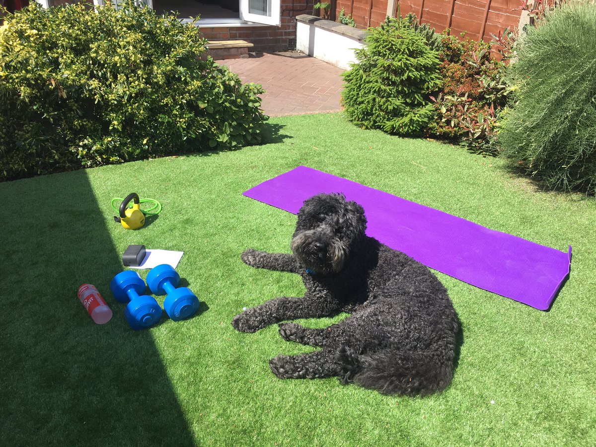 F7065's tweet photo. Workout Saturdays #dudedog https://t.co/MgskpcAGEH