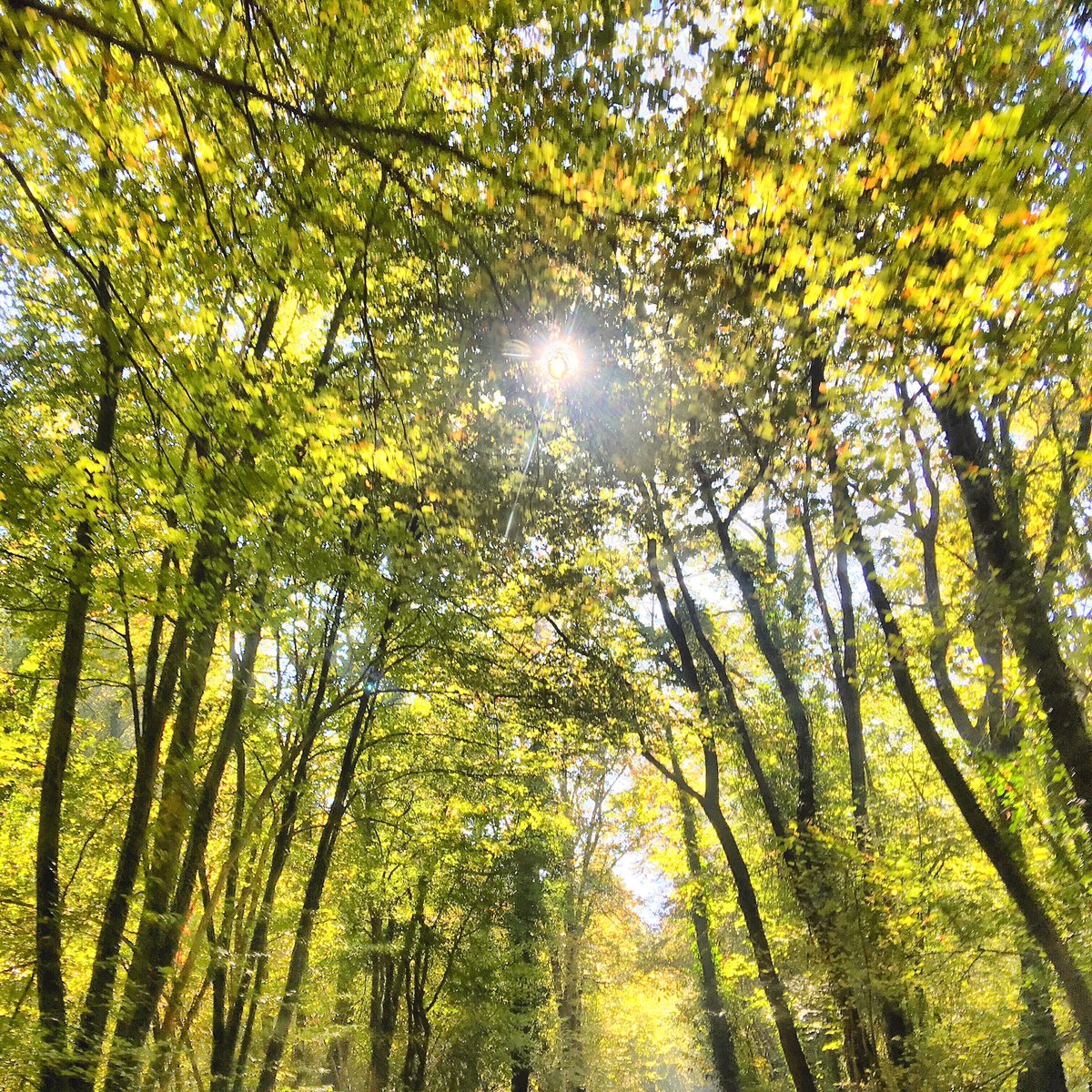 A menudo la mejor manera de encontrarse es perderse.