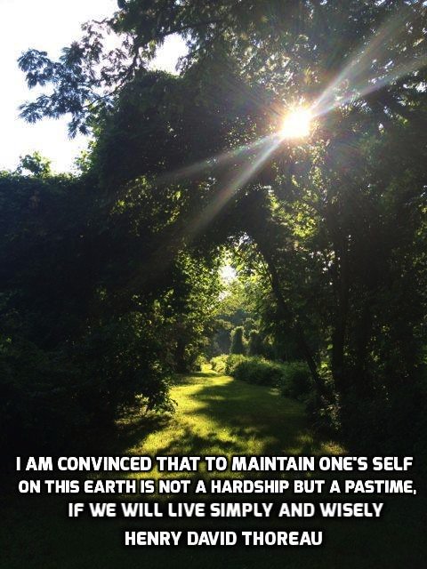 quotespicts's tweet photo. “I am convinced that to maintain one’s self on this earth…” Henry David Thoreau - More at:  https://t.co/z5yv4cX3lP https://t.co/dEGCykvPql