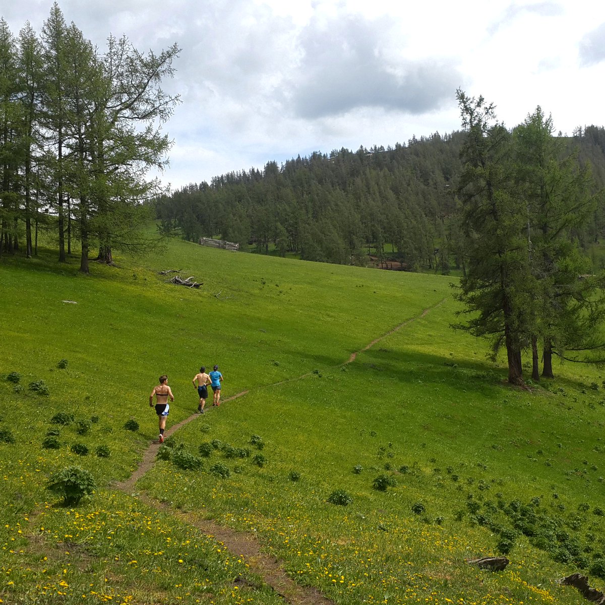 Michael Owen tweet media