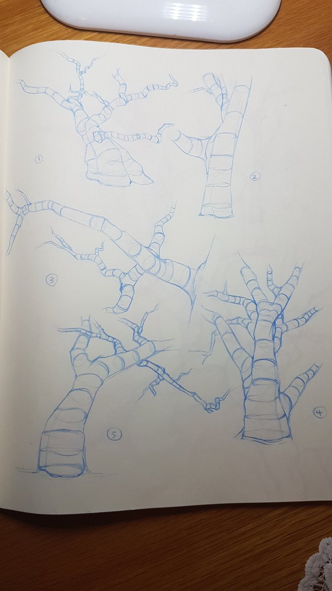 Some pages in my sketchbook from where we were tasked to draw 100 tree studies. So fun but so painful at times :)