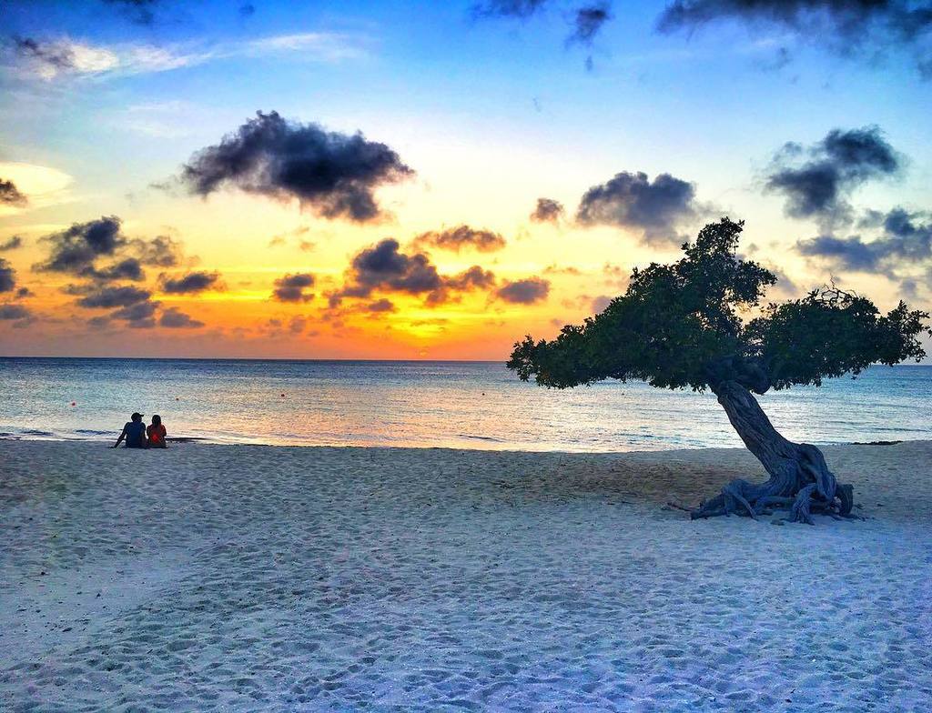 CureCuriosity's tweet photo. #sunsets are always a favorite time of day. #divitree #aruba #beach #eaglebeach #holiday #vacation #travel #onemor… https://t.co/Vd1tlLlRjw https://t.co/gbFTo7GZRs