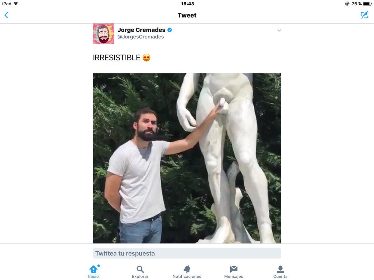 FranBrau10 tweet picture