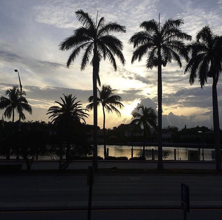MBeachResort's tweet photo. @wseva saying goodbye to her Miami Beach vacation 🌅❤️ Hope it was a great and see you again soon‼️ https://t.co/07DVF4ek0L https://t.co/l7V4gIpjKS
