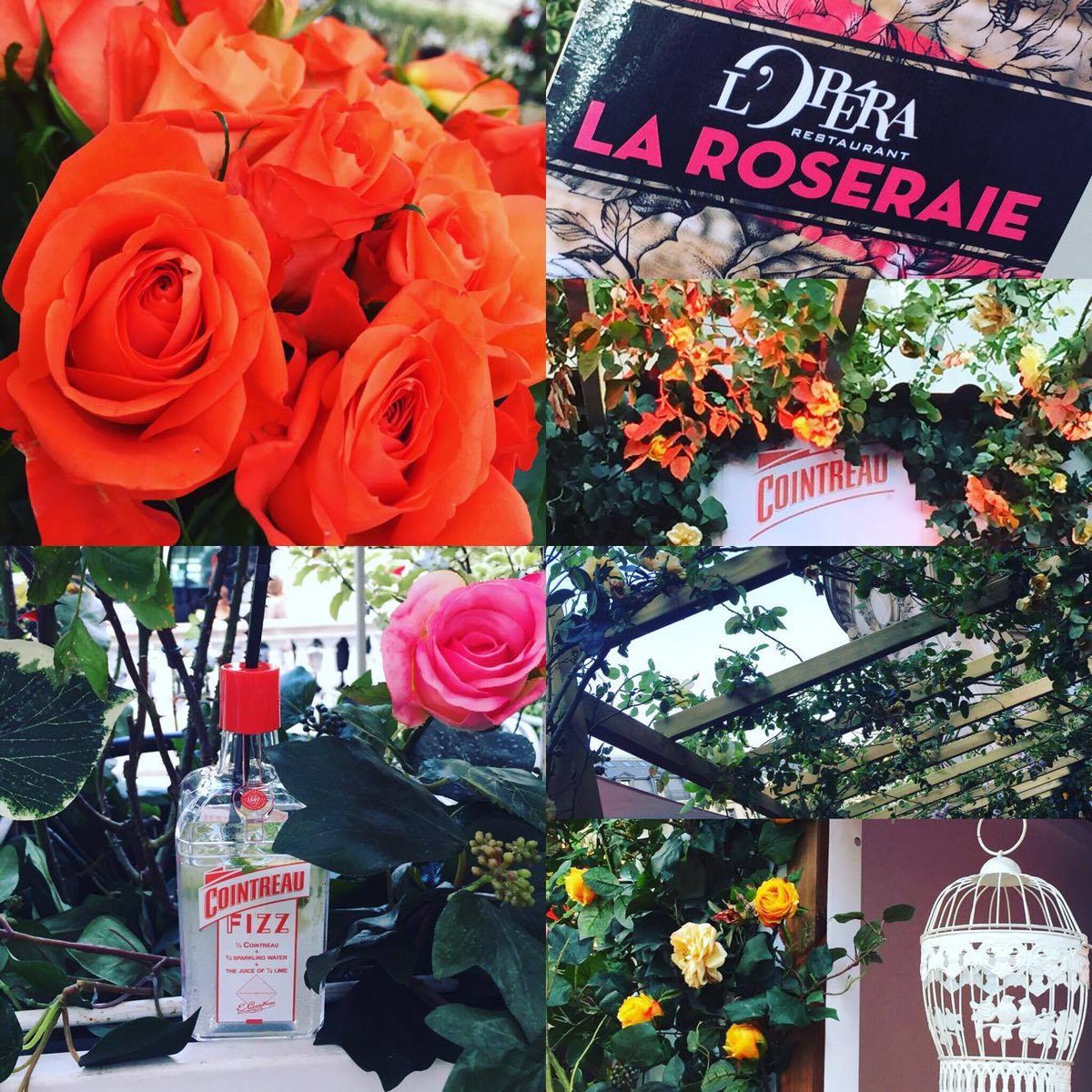 maisquoiremy's tweet image. Ouverture de la nouvelle terrasse de @LOperaResto : LA ROSERAIE by @Cointreau ! 🌹 Enjoy !
=&amp;gt; bit.ly/2qKYAf7
(Cc @UndercoverRp )