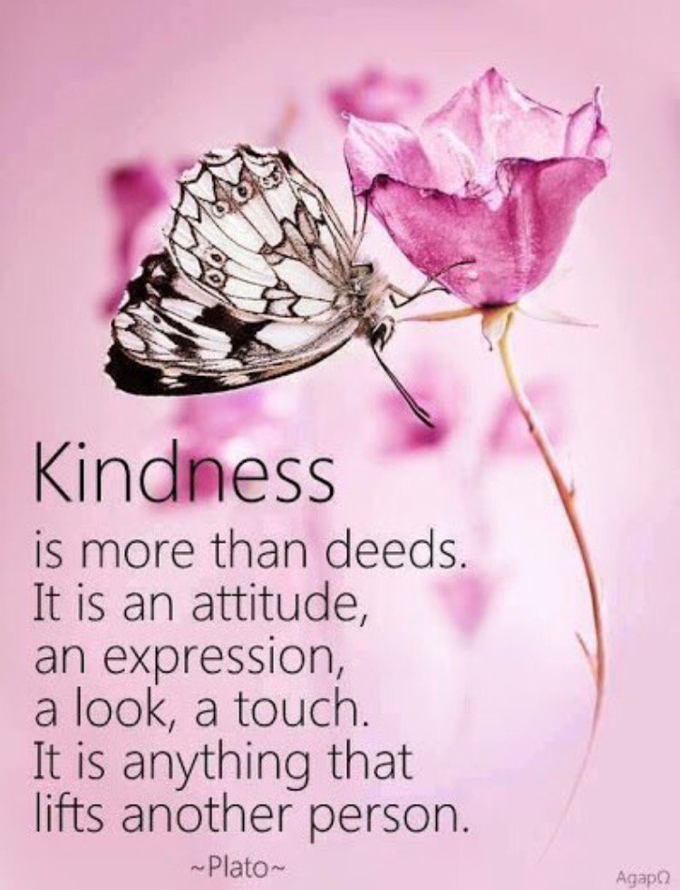 cassiedrops's tweet image. Happy Saturday!