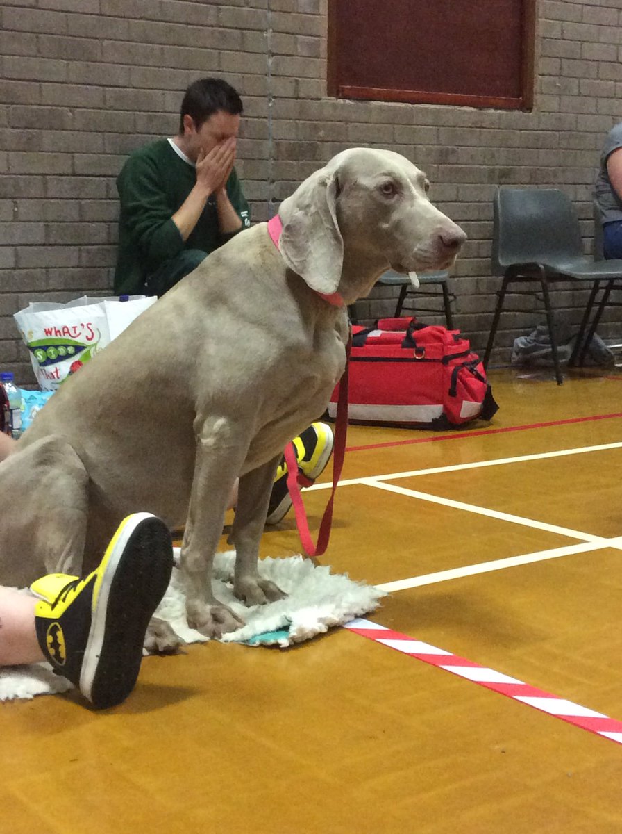 Cornwall RD tweet media