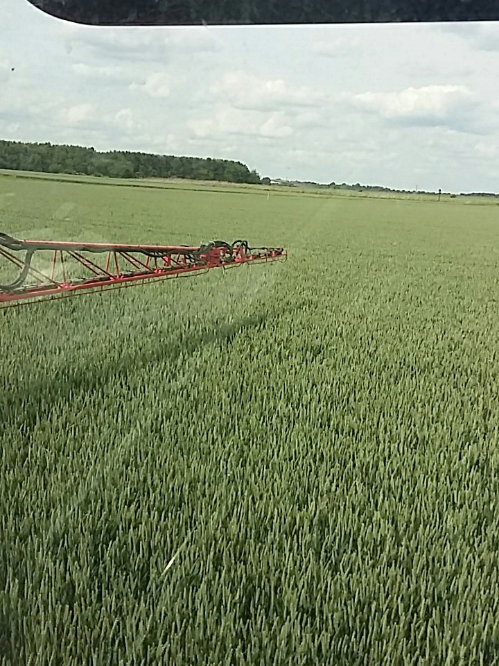 dikesmarshfarm's tweet image. Lovely afternoon to spray T3 on Grafton. @BASFcropUK #realresultscircle trial.