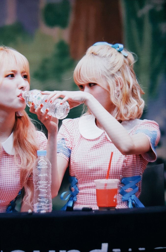 pics_eunseo's tweet photo. 170610 ⌒♡*:･ 떼구루루 
w/ @picsluda https://t.co/Q30m9BQuGn