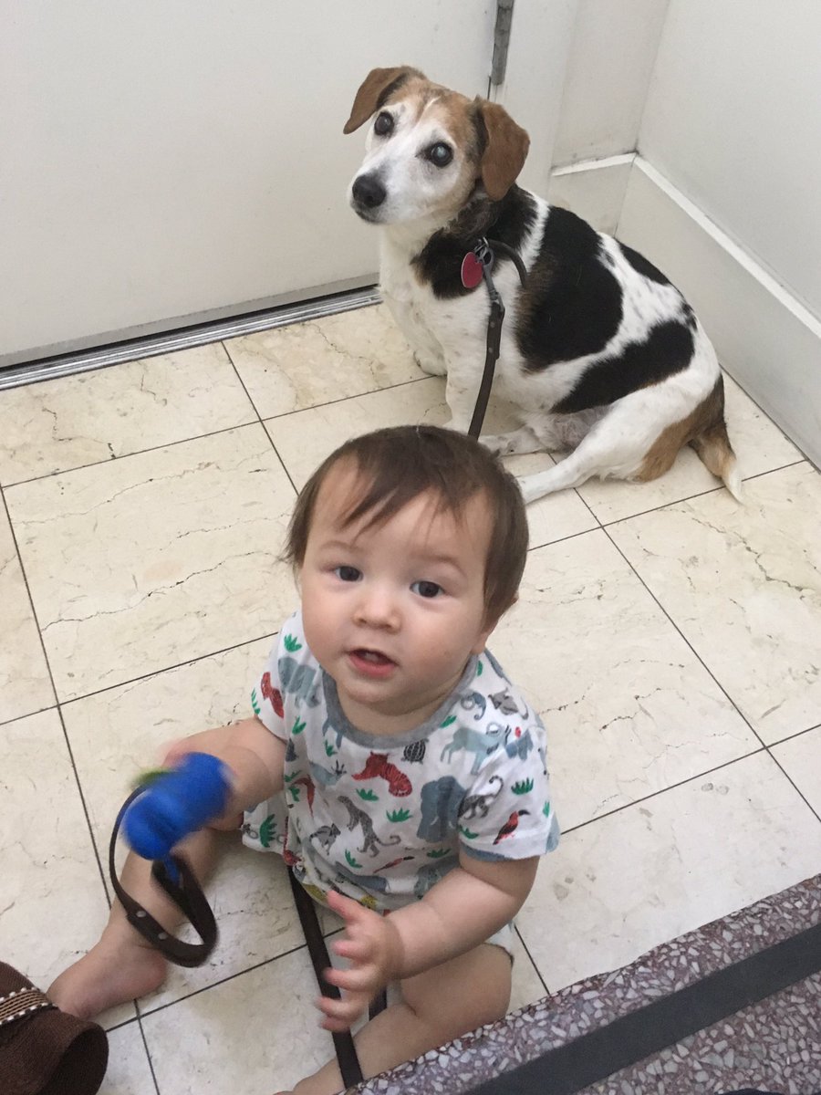 ernierubs's tweet photo. Come on let's go! We're ready! https://t.co/BHZfas3MKR