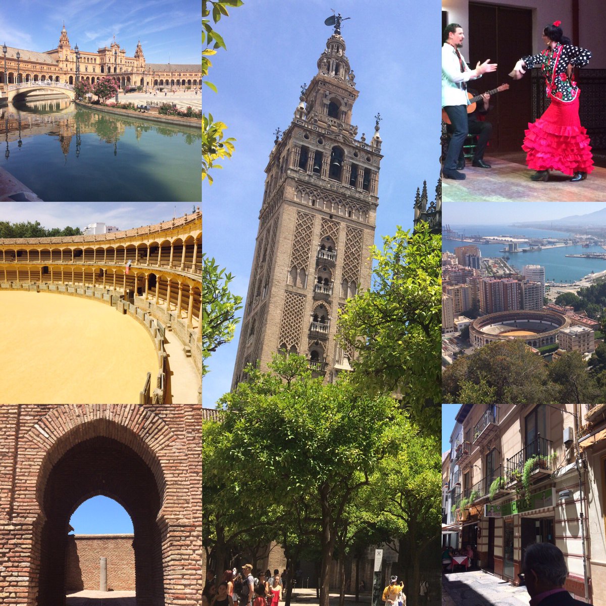 ChrissyKing6's tweet photo. Spain has been amazing so far. Touring Andalucía-- Málaga, Cádiz, Arcos de la Frontera &amp; Seville so far. Next on to Cordoba &amp; Granada! 🇪🇸 https://t.co/ddUbVNfQ67