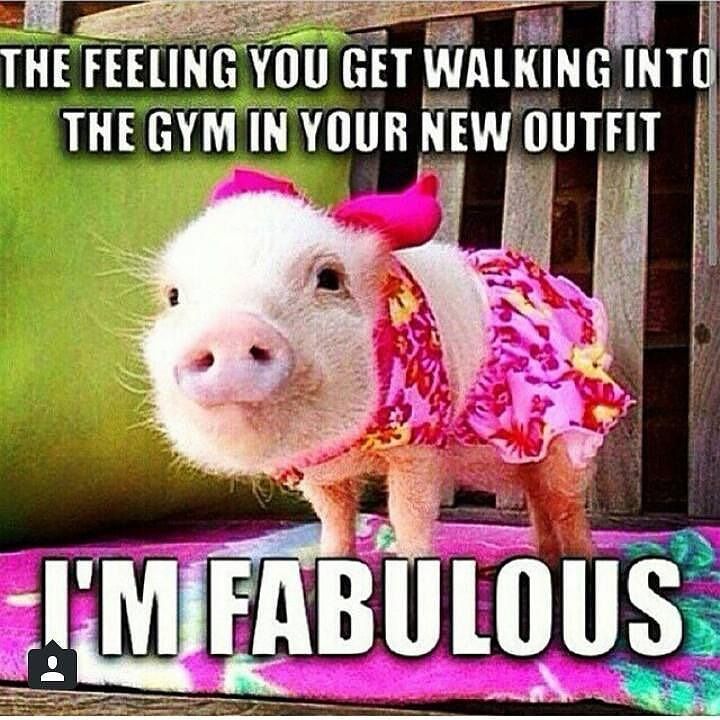gosportit's tweet photo. How our customers feel after buying their Go Sport-it leggings! #fabulous .
.
.
#gosportit #leggings #fab #fit #fi… https://t.co/1H5IGRcwz5 https://t.co/6R4TfctF5B
