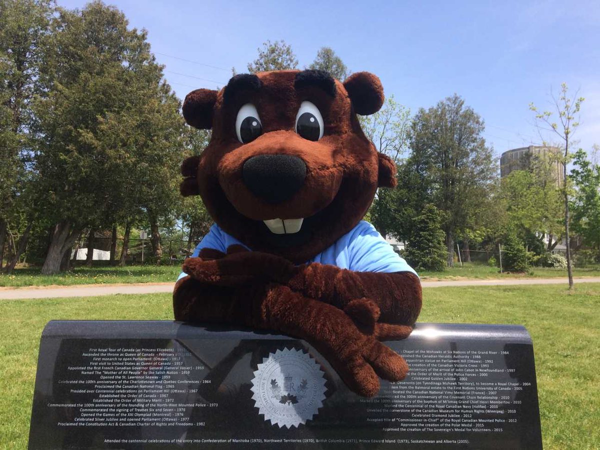 Waterdown150's tweet photo. Bucky visits #Waterdown #MemorialPark's #QueensBench, sit of the 2017 @OCanadaRibfest and #Loop150. #Canada150 @judipartridge @Garry_Flood https://t.co/LbENQD9jMo
