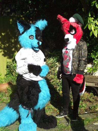 OneAnOnlyLexums's tweet photo. I didn't mention here, but I'm buying this premade suit for only $180 USD #fursuit #buyingasuit #furry https://t.co/OnjXBpsE6n