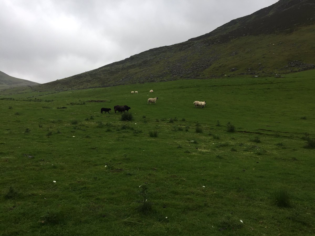 ForAcadDofE's tweet photo. #FarmAnimals https://t.co/spyNYBhcD7