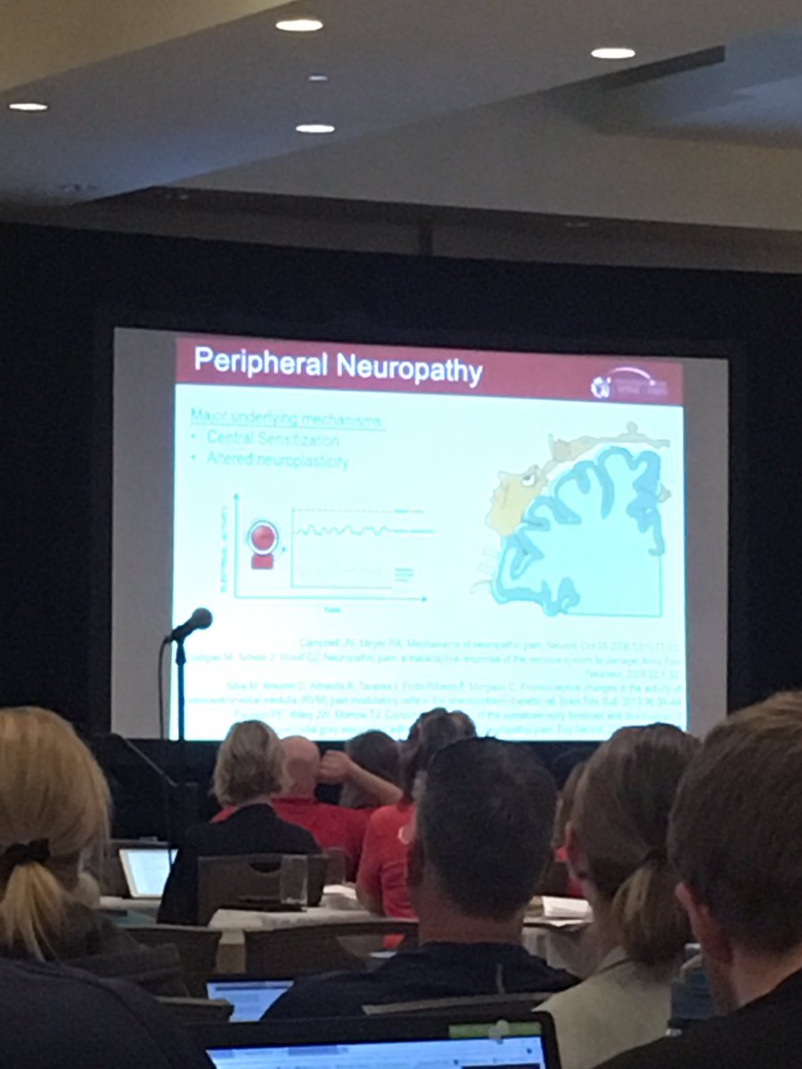 jarrodbrian22's tweet photo. Treating peripheral neuropathy using the homunculus as a guide #neuroplasticity @ISPITeam #ISPI2017 https://t.co/ihoV0twQEr