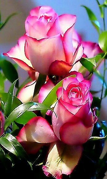 Paulo Da Cruz Lucchesi (@pclucchesi) on Twitter photo 