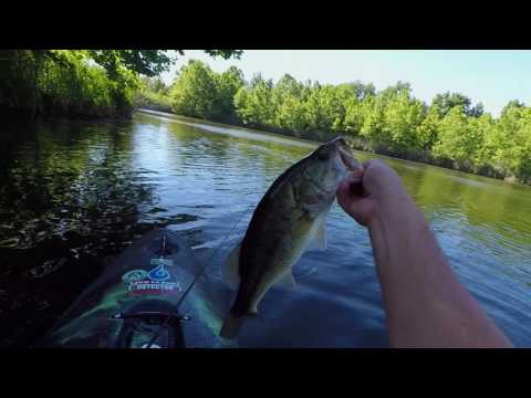 Fishing HQ tweet media