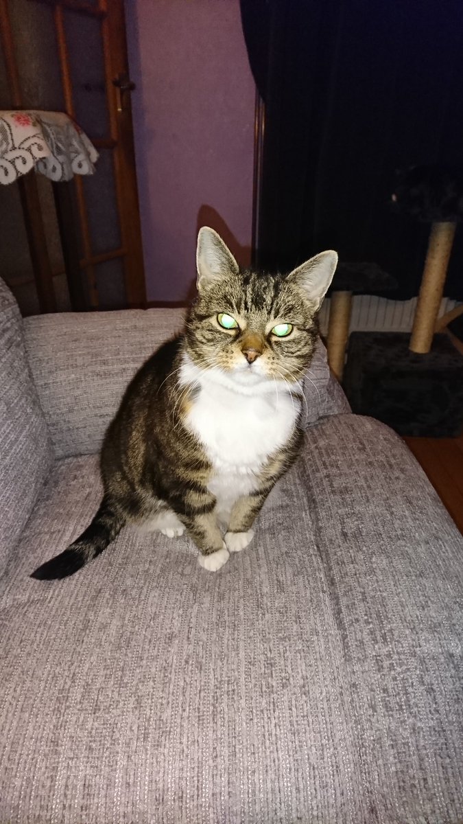 ragnar5571's tweet photo. My little diabetic princess, love her so much. https://t.co/iiQ3zEIaSH