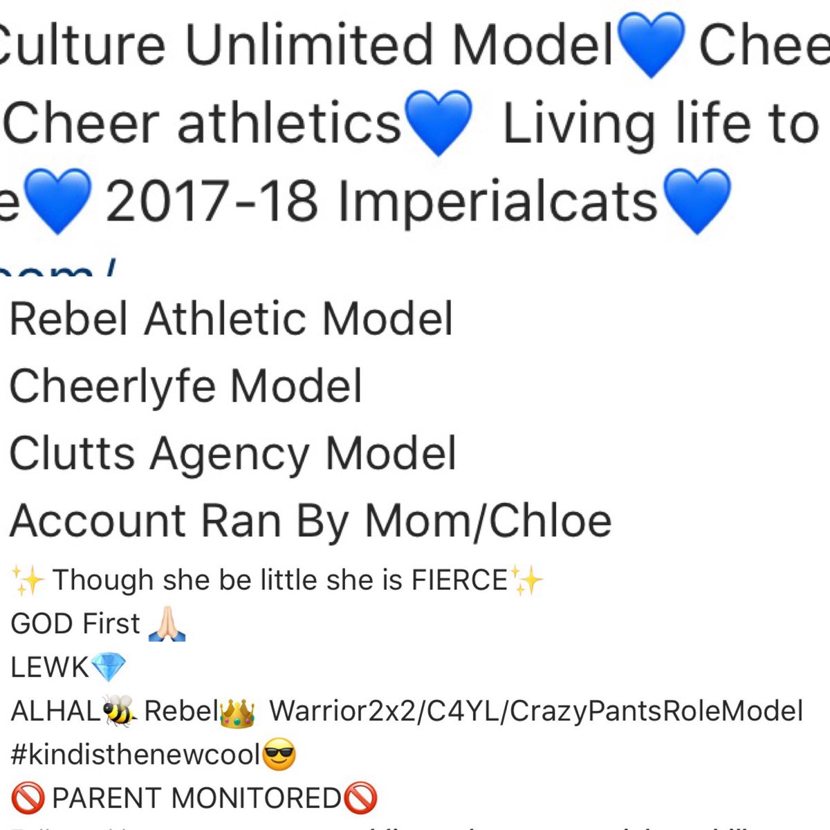 Fly_Fierce's tweet image. Junior cheerleader IG starter pack