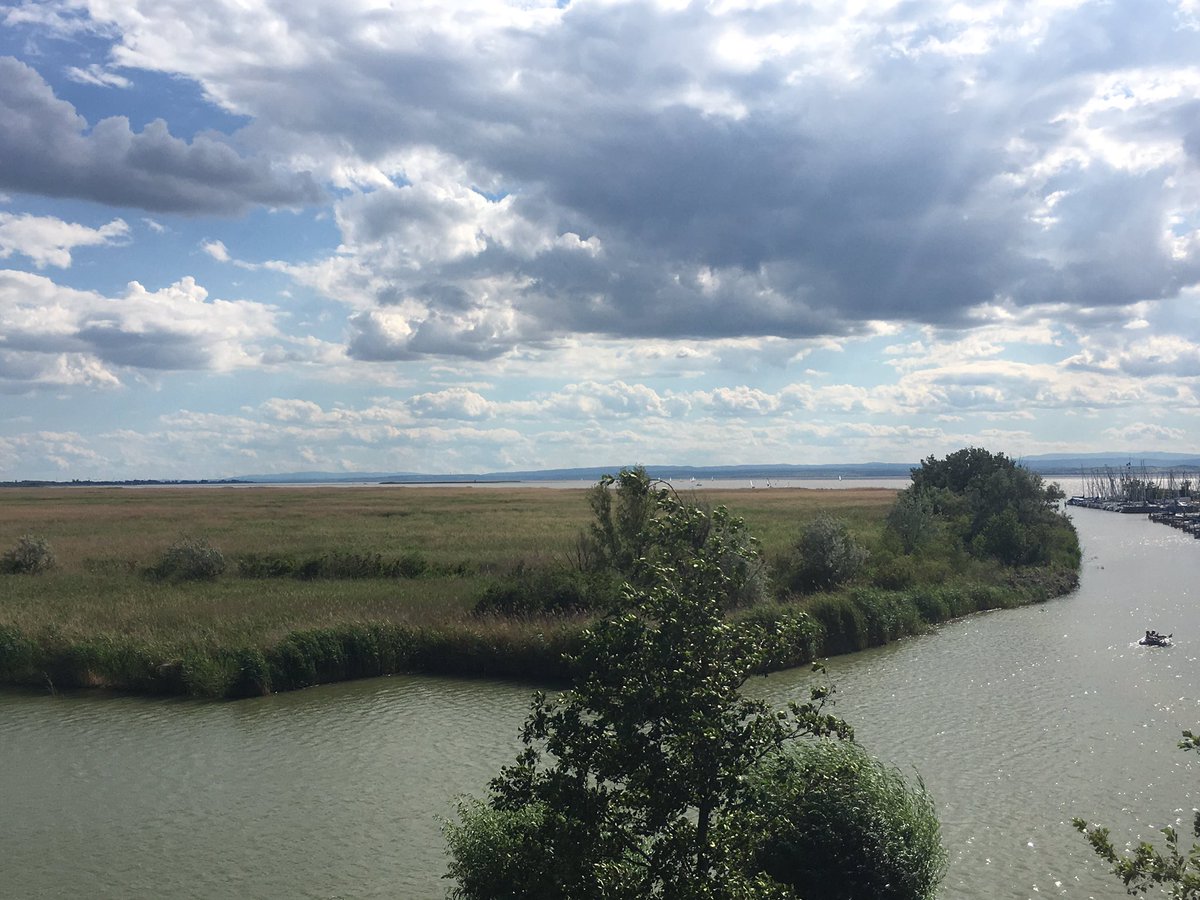 ProRegionNeuSee's tweet photo. @ProRegionNeuSee on Tour in Weiden am See, Welterbetag 2017. @NeusiedlerSea at its best! https://t.co/WG27Ig2y0C