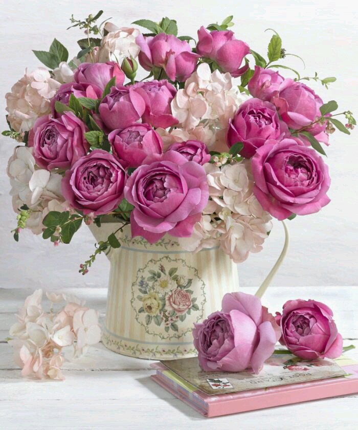 NadeTh_'s tweet photo. @3Almonzer @mkolean3 @LatofaOb @zerok_z @LaniJDav @safsafayoub @Rameshmish @ziziosama2gmail @paparcura @FeralislandMick @CandiceMassa @Jana3990 @rosemgjf @iShalu_ @ShantuPatel1 @tarekbahaa1 @Deiphos81 @djombic_ @lau55c @MARIALUISAMAR5 @TaposKumarBasu @ArmyRenzi @aLAURA2015 @AWESOME_WORLD13 @abdulhamidkhank @TaxiFreire @Zhbabar05 @xrysoula10 @mkandil30003 @seaweed115B @0000000000hhh @KedmaHelena1 @Shaker_God @moh_123ffvh @DisturbiaTop @LFSRS @ivymarina1 @zuk60 @lazurit_plus @janenight07 @96_wa3d @dyakomard @SERENAskyfall @Silvia080 @Marisol2224 @EdytaBaracz @atatenea @kathybaker1965 @omniajen @jaimemiserachi #TeamRouss https://t.co/Ns6gMV6mJd