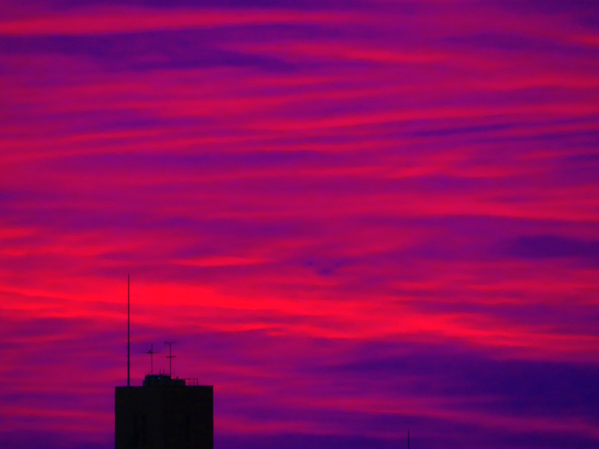 arakencloud's tweet photo. めっちゃ朝焼け！！
日の出前のわずかな時間，高積雲の雲底が夜色の混ざった紅から深紅に変わり，そのあと真っ赤に焼けとった．幻想的な1日の始まり．今日も良い日になりますように． https://t.co/ejoSbXCVEx