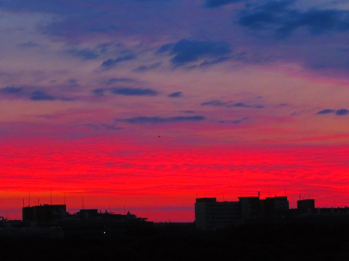 arakencloud's tweet photo. めっちゃ朝焼け！！
日の出前のわずかな時間，高積雲の雲底が夜色の混ざった紅から深紅に変わり，そのあと真っ赤に焼けとった．幻想的な1日の始まり．今日も良い日になりますように． https://t.co/ejoSbXCVEx