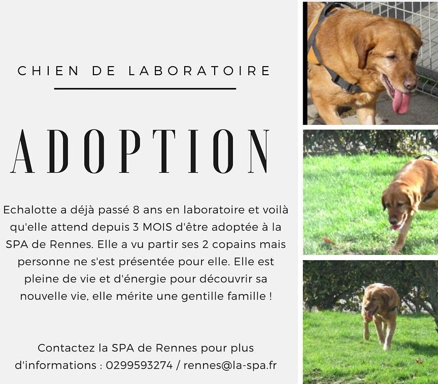 Oiseautyson At Oiseautyson1 Twitter