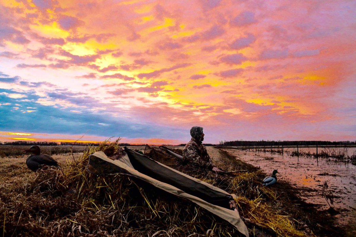 FBadventures_12's tweet photo. ✋️👀👂 #exploremb https://t.co/IDx5Kvd3v5