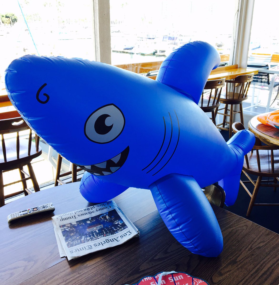 garbear51's tweet photo. #Sharknado!
@PMYCmdr getting ready for our 54th #Birthday party.

#Surfsup #California Dreaming
#BeachBoys

#MarinadelRey
#mydayinla https://t.co/Q0rlyqc4rG