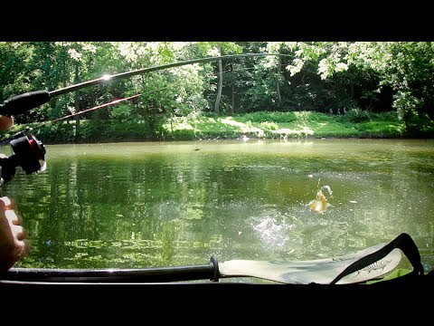 Fishing HQ tweet media