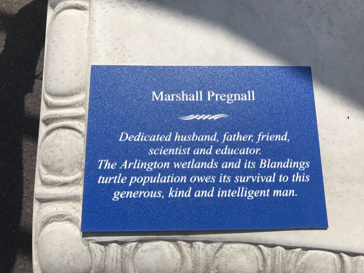 pfanuele's tweet image. A fitting tribute to Marshall Pregnall @ArlingtonRelay @TriciaMuraco #turtlebench