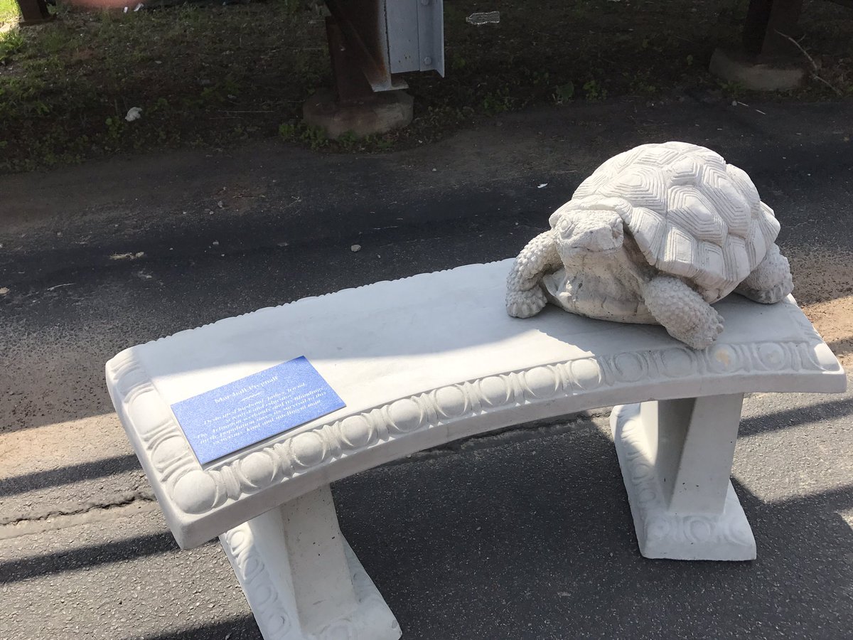pfanuele's tweet image. A fitting tribute to Marshall Pregnall @ArlingtonRelay @TriciaMuraco #turtlebench