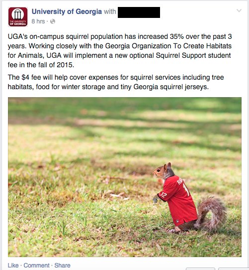squirrels_rus's tweet photo. News from the tree: https://t.co/E4saEKvK9D