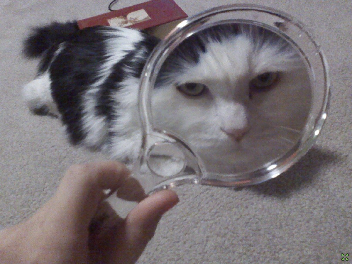 Pleasur_e's tweet photo. Надеюсь теперь тебе видно, насколько я рад лету. https://t.co/Nw1JcUQkeH
