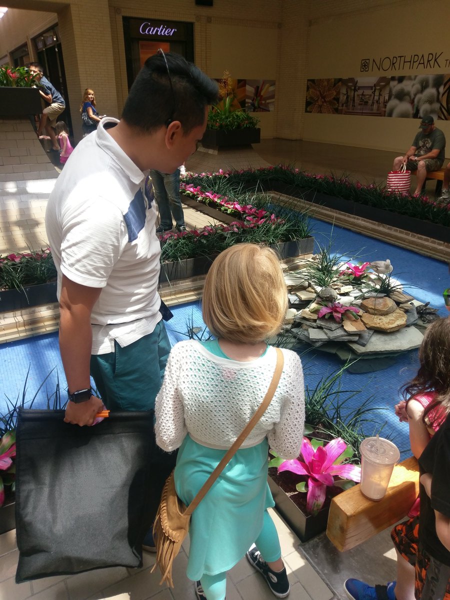 pearlsofwisdomo's tweet photo. Bilateral symmetry on the turtles'shells! Thanks Jonathan children and families enjoyed their Walk Stem at Northpark #iwalkstem @bigthought https://t.co/UK5xOxdwTu