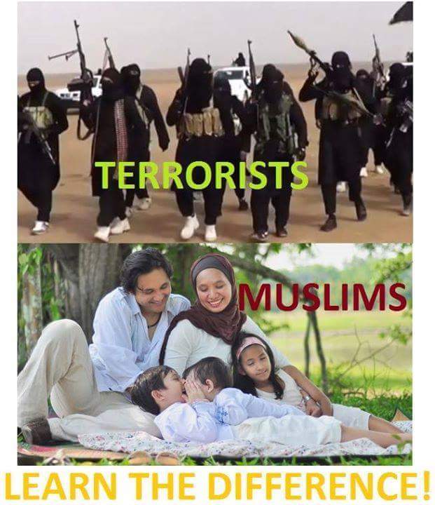 PEACEFUL WORLD tweet media