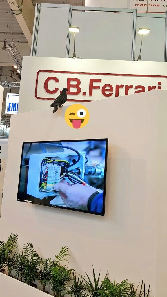 WALDRICH_COBURG's tweet photo. @ITM_Polska is almost over. We had a lot of interesting discussion and visitors ;)
See you soon
#waldrich #cbferrari #dove https://t.co/O49x1AASxq