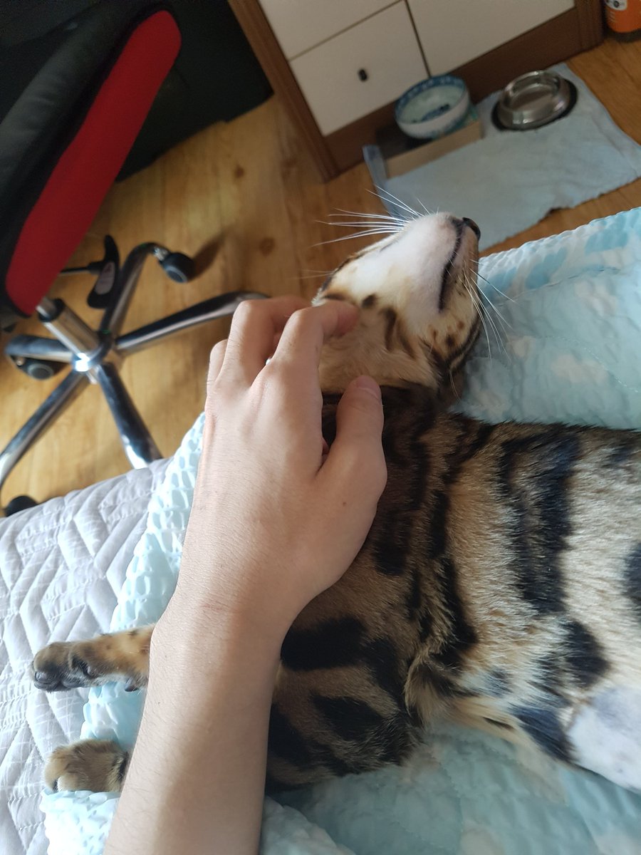 AngeLMegum1n's tweet image. Good morning :)