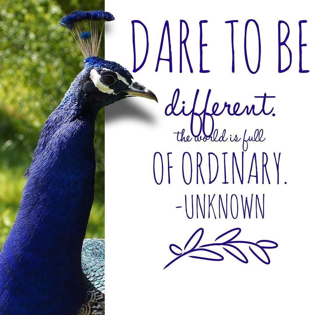 plexusholly's tweet photo. #beunique #beyourself #create #artistry #inspirationalquotes #believeinyourself https://t.co/vhmmNmpy1f https://t.co/x28jTA2uLy